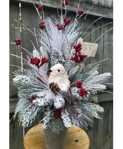 White Winter bird Silk arrg 