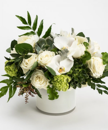 Whites & Greens  