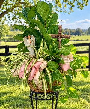 Wicker Basket with 3 Assorted Plants 