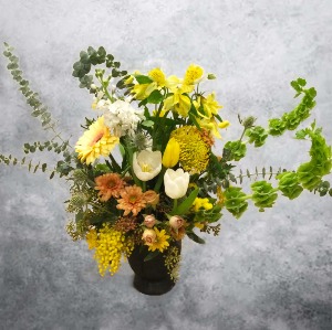 Wild and Free Designers  choice