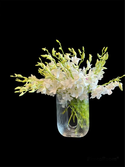 Rain of Dendrobiums 