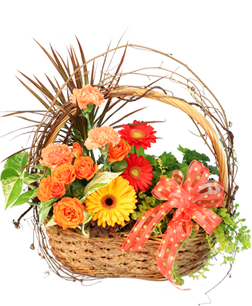 Wild Country Basket Flowering Plants in Ocala, FL | Blue Creek Florist