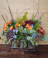 Wild for Fall TVF Original