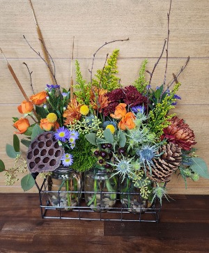Wild for Fall TVF Original