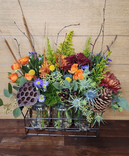 Wild for Fall TVF Original