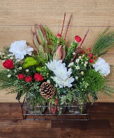 Wild for Winter T&V Original