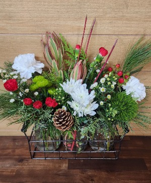 Wild for Winter T&V Original