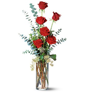 Wild Garden Rose 