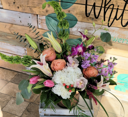 Wild Thang Mixed arrangement