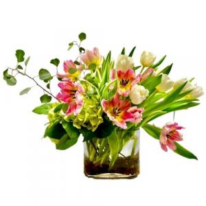 Wind Swept Tulips Fresh Arrangement