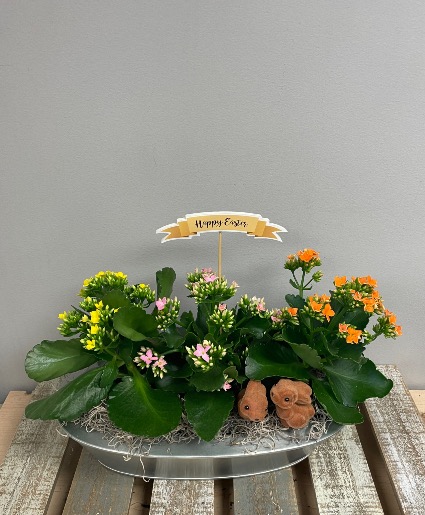 Window Box 