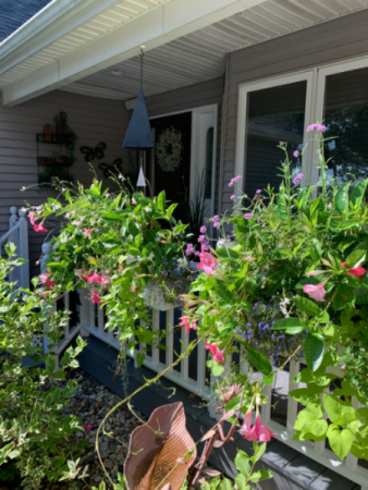 Window Boxes Custom