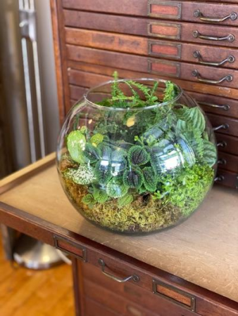 Wine & Design Class April 28 @6pm Terrarium Hands On Class