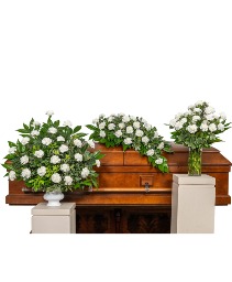 Wings of Peace Trio Sympathy