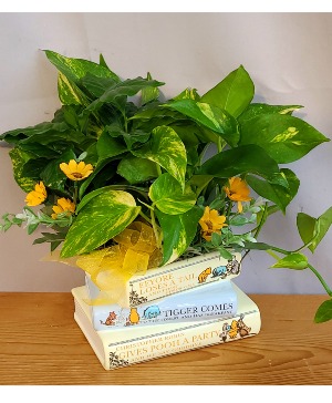 Winnie-the-Pooh  Keepsake Planter