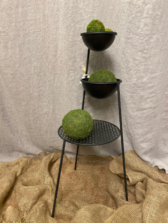 Winston Stand for plants