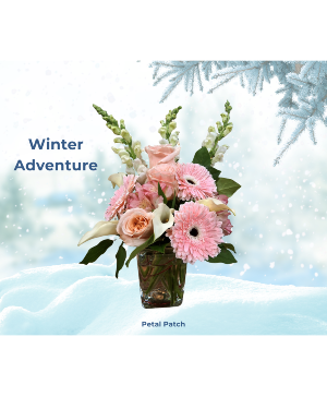 Winter Adventure 