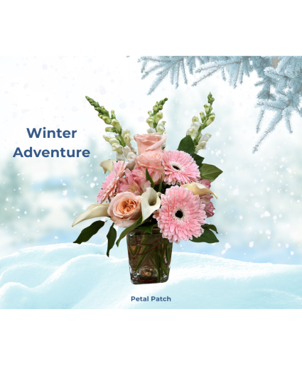 Winter Adventure 