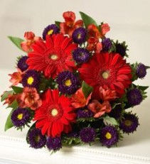 Winter Beauty Bouquet of Red Gerbera Daisies