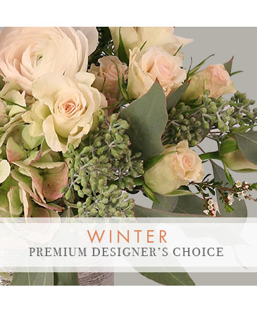 Winter Bouquet Premium Designer's Choice in Waco, TX | Bloomingals Floral Boutique