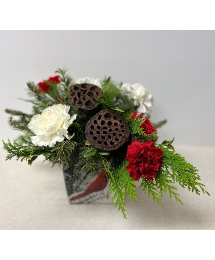 Winter Cardinal Cube Christmas