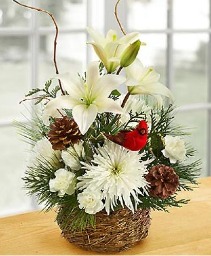 Winter Cardinal Nest Basket 