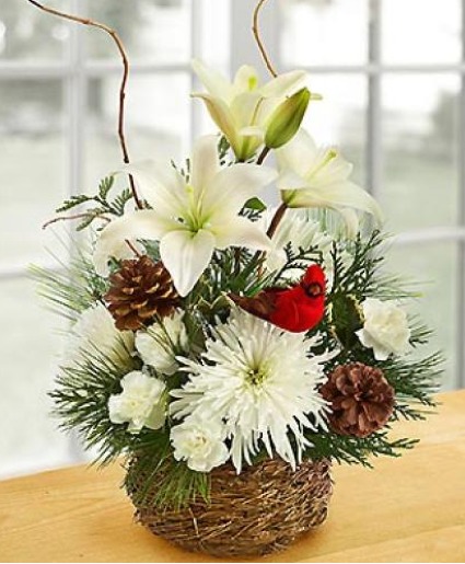 Winter Cardinal Nest Basket 