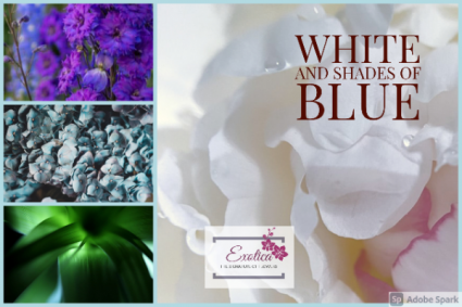 Winter Frost Designers Choice - Vase Arrangement