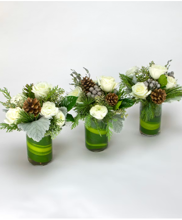 Winter Delights Centerpiece Trio in Beaufort, SC | LAURA'S FLORIST
