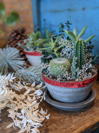 Winter Fairy Garden  in Chicago, IL | PRIMROSE CHICAGO