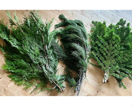 Winter Greens 
