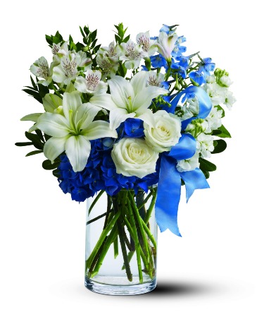 Winter Oasis TFWEB281 Arrangement in Fort Worth, TX | DARLA'S FLORIST