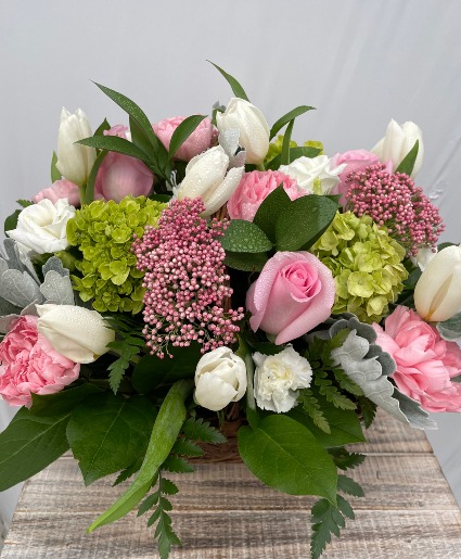 Spring Beauty 