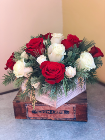 Winter Roses 