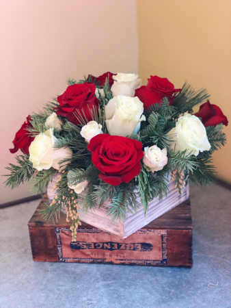 Winter Roses 
