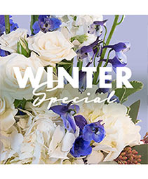 Winter Special Designer's Choice