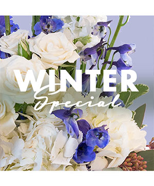 Winter Special Designer's Choice