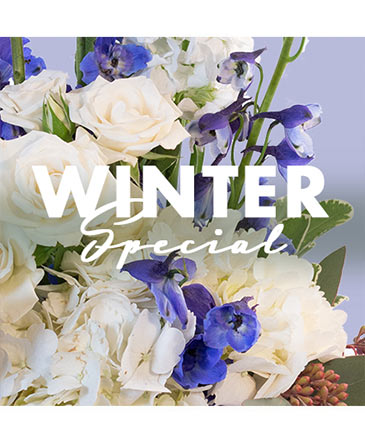 Winter Special Designer's Choice in Marmaduke, AR | Choco Taco Florist ***TEST SHOP****