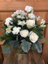 Winter White T&V Exclusive 