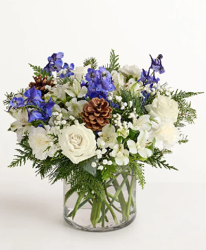 Winter Wishes Fresh Arrangement