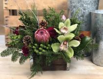 Rustic Wonder 
