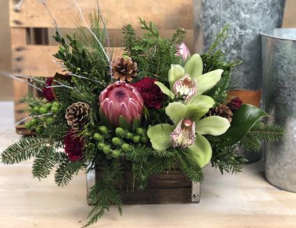 Rustic Wonder 