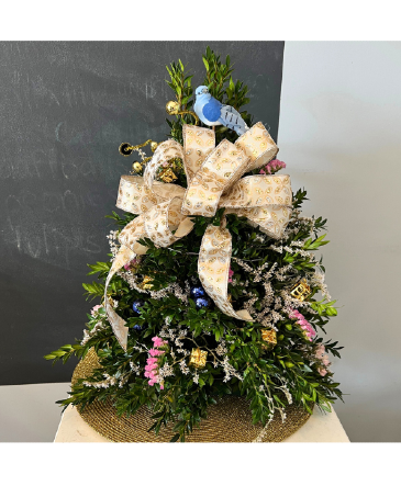 Winter Wonderland Boxwood Tree in Mattapoisett, MA | Blossoms Flower Shop