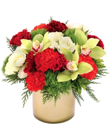 Winter Wonderment  Bouquet in Trenton, ON | Designs by Alexis Rose