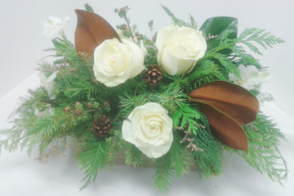 Winter Woodland 