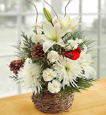 Wintertime Birds Nest of Flowers 