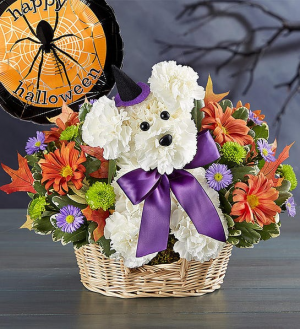 Witchy Pooch holiday