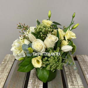Wonderful White 