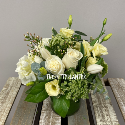 Wonderful White 