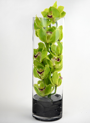 Wonderful Wishes Orchid Green Orchid